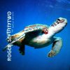 Rogerseventytwo Turtle Mixtape #1