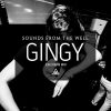 Sounds From The Well –  Gingy
